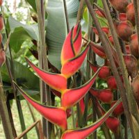 IMG_0442 IMG_0442